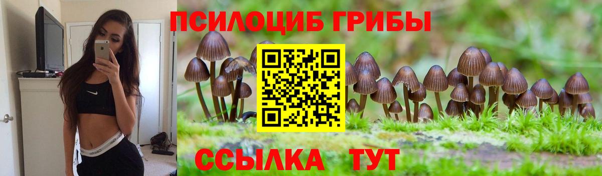 Галлюциногенные грибы Psilocybe  Псилоцибиновые грибы MAGIC MUSHROOMS  что такое   Кудрово  Вход с VPN 